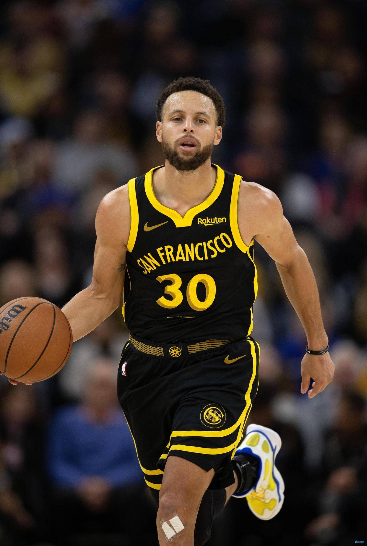 11月的洛 11月的洛